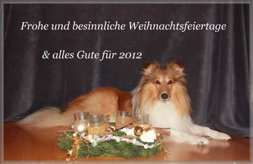 Weihnachtsgre 2011