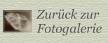 Button zurck zur Fotogalerie