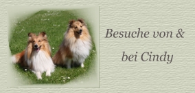 Button Cindybesuche