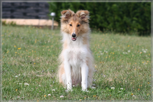 MC-Treffen bei Cindy (5)