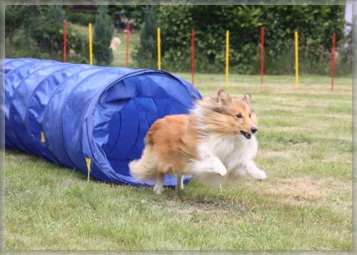 MC-Treffen 2011 (25)