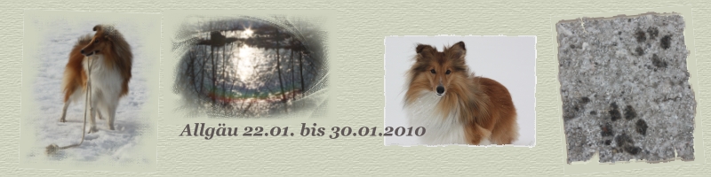 Header Allgu Januar 2010