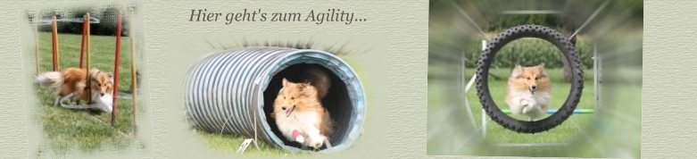 Header Agility