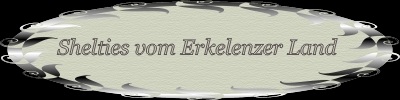 Banner Erkelenzer Land