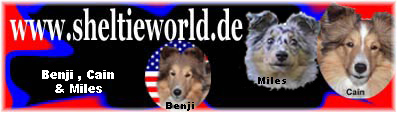 Banner Sheltieworld