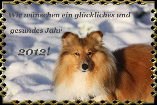 Neujahrsgr��e 2012